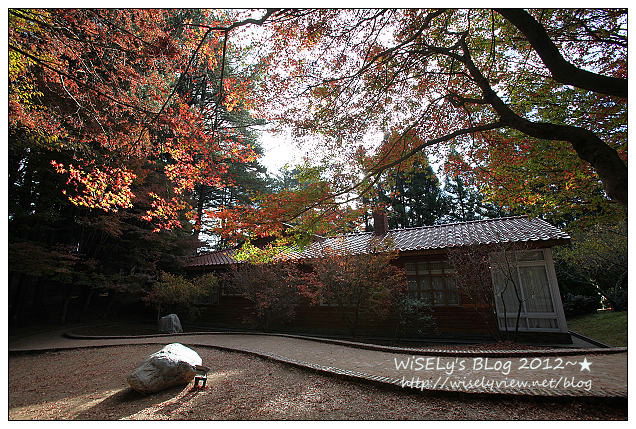 【景點】2012 ABW大叔熱血暴走團：福壽山農場松廬楓紅、合歡山休息用餐，苗栗銅鑼杭菊節賞菊(2012/11/05花況)
