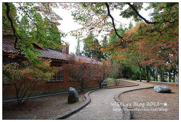 【景點】2012 ABW大叔熱血暴走團：福壽山農場松廬楓紅、合歡山休息用餐，苗栗銅鑼杭菊節賞菊(2012/11/05花況)