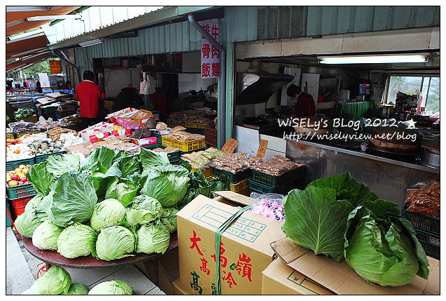 【景點】2012 ABW大叔熱血暴走團：福壽山農場松廬楓紅、合歡山休息用餐，苗栗銅鑼杭菊節賞菊(2012/11/05花況)