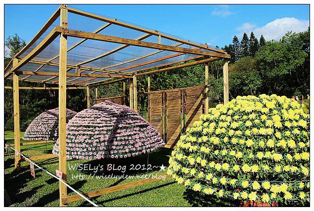 【景點】台北市.士林官邸菊展:2012手舞菊蹈@11/18~12/2 (Canon EOS M) 【景點】台北市.士林官邸菊展:2012手舞菊蹈@11/18~12/2 (Canon EOS M)