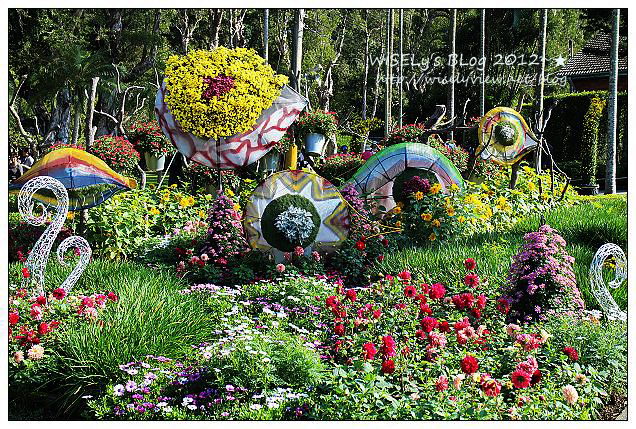 【景點】台北市.士林官邸菊展:2012手舞菊蹈@11/18~12/2 (Canon EOS M) 【景點】台北市.士林官邸菊展:2012手舞菊蹈@11/18~12/2 (Canon EOS M)