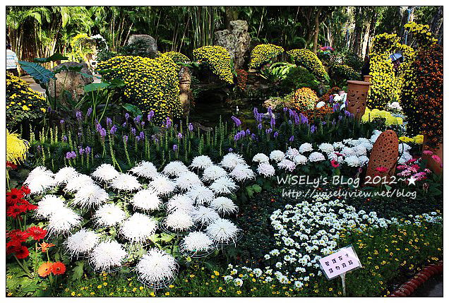 【景點】台北市.士林官邸菊展:2012手舞菊蹈@11/18~12/2 (Canon EOS M) 【景點】台北市.士林官邸菊展:2012手舞菊蹈@11/18~12/2 (Canon EOS M)