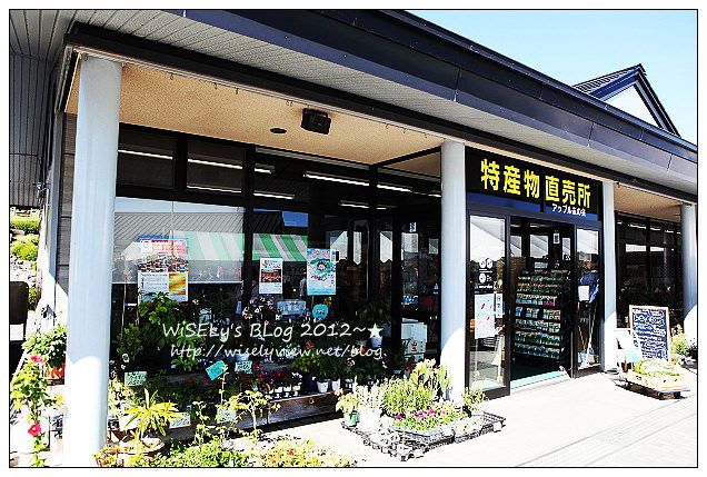 【旅行】日本．青森縣：浪岡町APPLE HILL觀光蘋果園＠體驗現摘現吃的新鮮美味多汁蘋果