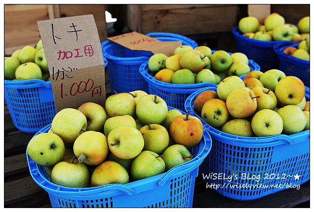【旅行】日本．青森縣：浪岡町APPLE HILL觀光蘋果園＠體驗現摘現吃的新鮮美味多汁蘋果