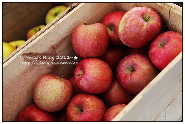 【旅行】日本．青森縣：浪岡町APPLE HILL觀光蘋果園＠體驗現摘現吃的新鮮美味多汁蘋果