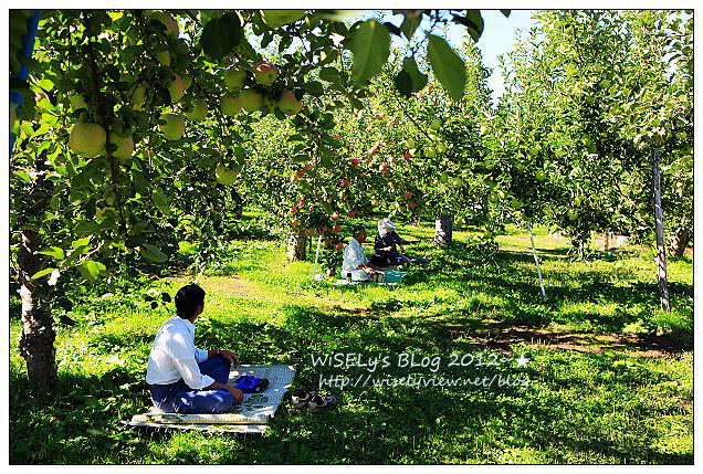【旅行】日本．青森縣：浪岡町APPLE HILL觀光蘋果園＠體驗現摘現吃的新鮮美味多汁蘋果