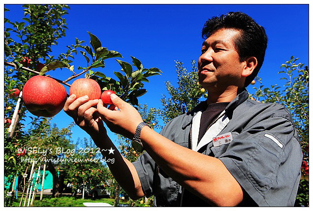 【旅行】日本．青森縣：浪岡町APPLE HILL觀光蘋果園＠體驗現摘現吃的新鮮美味多汁蘋果