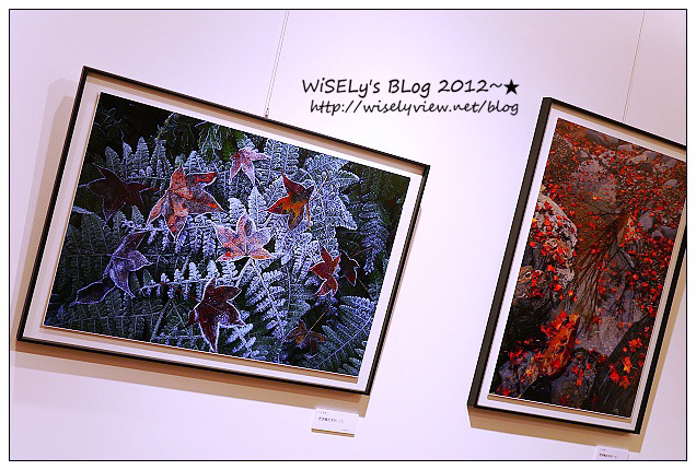 【活動】台北市.Bellavita 寶麗廣場B1:追光逐影 200+ 攝影展@HP Designjet Z3200 恆采V12專業繪圖機輸出作品 【活動】台北市.Bellavita 寶麗廣場B1:追光逐影 200+ 攝影展@HP Designjet Z3200 恆采V12專業繪圖機輸出作品