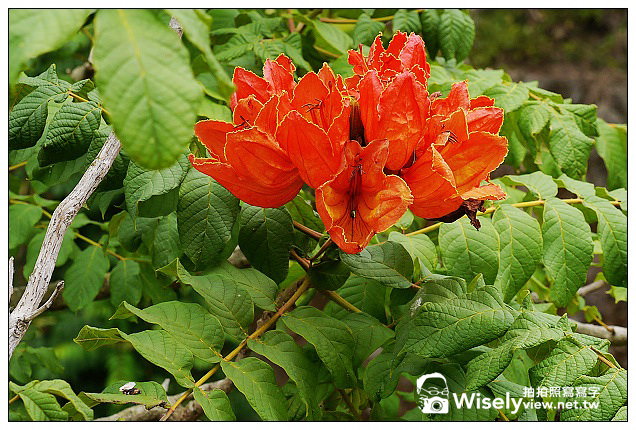 【食記】屏東縣．牡丹鄉：南方部落美食館@必訪的排灣族料理&鐵馬驛站(四重溪溫泉鄉之旅)