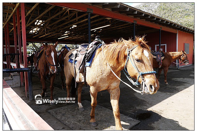 【旅行】2013美國。夏威夷：檀香山(歐胡島)特色景點：谷蘭尼牧場(KUALOA RANCH)～侏羅記公園等電影拍攝場景
