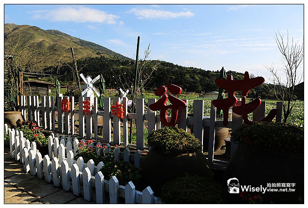 【隨拍】Canon 5D3：文化大學感恩麵店、頂湖花谷海芋園＆陽明山花鐘春櫻/杜鵑（2013竹子湖海芋季 2013-03-04）