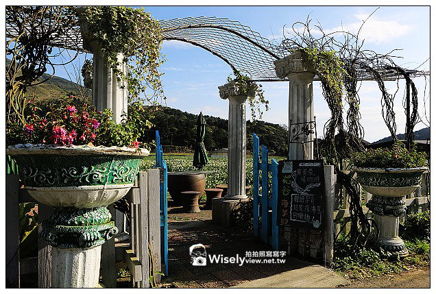 【隨拍】Canon 5D3：文化大學感恩麵店、頂湖花谷海芋園＆陽明山花鐘春櫻/杜鵑（2013竹子湖海芋季 2013-03-04）