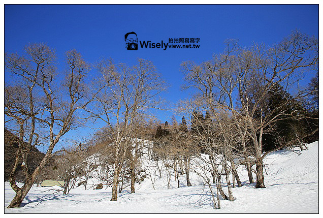 【旅行】2013日本北陸。富山縣南礪市＠利賀村雪地散策、天竺溫泉參訪；中之屋「行者NIKONIKO」招待菜餚及雪見酒、在雪洞裡大嚐熊肉鍋
