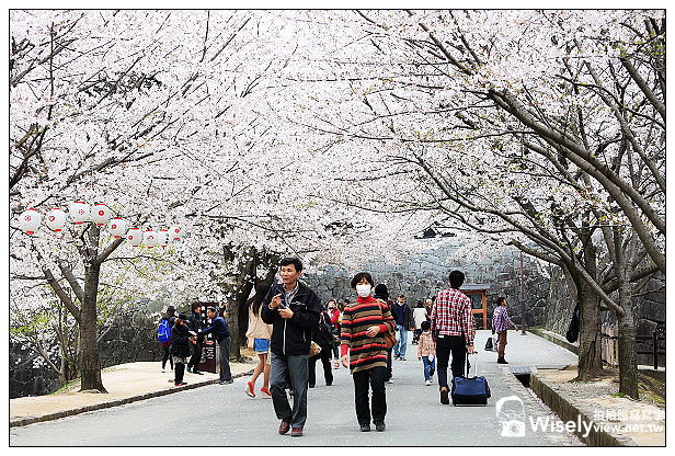 【旅行】2013日本九州。熊本市：天下名城熊本城賞櫻，櫻之馬場-湧湧座＆櫻之小路漫遊