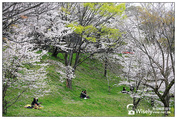 【旅行】2013日本九州。熊本市：天下名城熊本城賞櫻，櫻之馬場-湧湧座＆櫻之小路漫遊