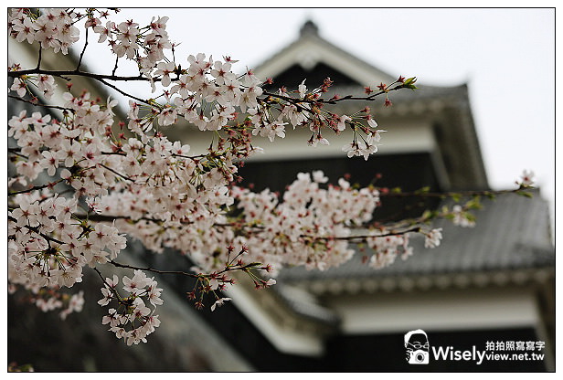 【旅行】2013日本九州。熊本市：天下名城熊本城賞櫻，櫻之馬場-湧湧座＆櫻之小路漫遊