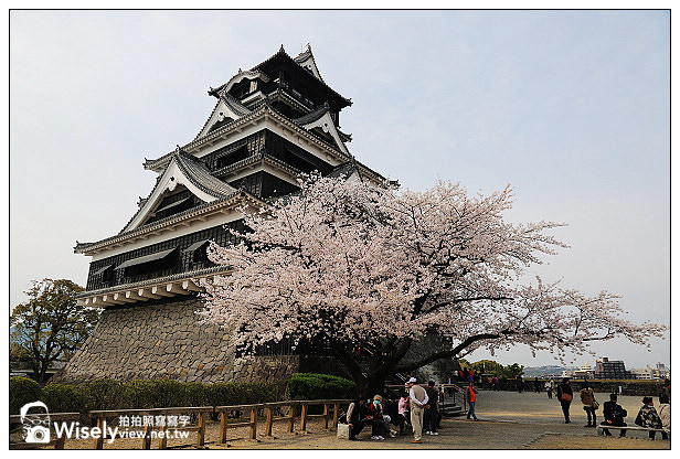 【旅行】2013日本九州。熊本市：天下名城熊本城賞櫻，櫻之馬場-湧湧座＆櫻之小路漫遊