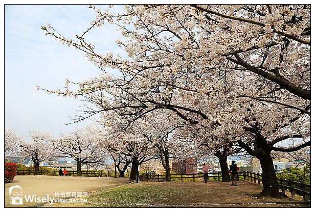【旅行】2013日本九州。熊本市：天下名城熊本城賞櫻，櫻之馬場-湧湧座＆櫻之小路漫遊