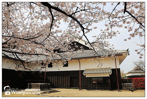 【旅行】2013日本九州。熊本市：天下名城熊本城賞櫻，櫻之馬場-湧湧座＆櫻之小路漫遊