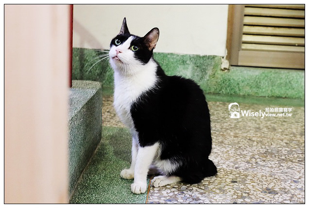 【隨拍】高雄市。新興區：KamoGamo 貓窩～位新堀江一帶附近，老宅公寓咖啡店＠FUJIFILM X100s作品