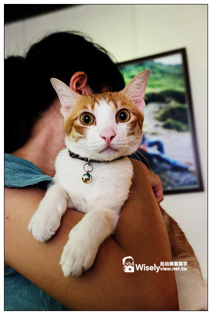 【隨拍】高雄市。新興區：KamoGamo 貓窩～位新堀江一帶附近，老宅公寓咖啡店＠FUJIFILM X100s作品