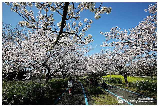 【旅行】2013日本九州。福岡市：海之中道海濱公園@櫻花盛開時騎著單車恣意遊走，多項設施適合親子前往 @WISELY's 拍拍照寫寫字