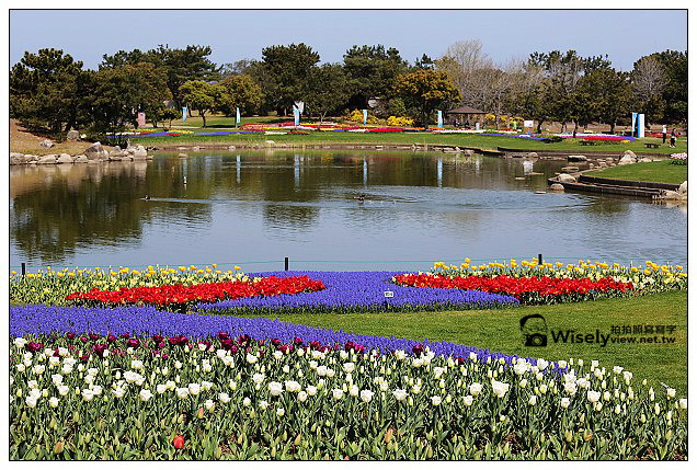 【旅行】2013日本九州。福岡市：海之中道海濱公園@櫻花盛開時騎著單車恣意遊走，多項設施適合親子前往