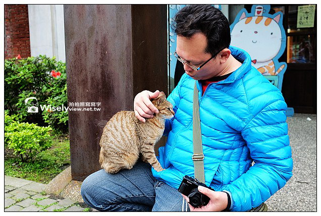 【景點】新北市。瑞芳區：(猴硐)候硐貓咪村～貓橋巡禮&街貓隨拍、大麵發老麵店、貓村咖啡，以及米詩堤黃金泡芙＠FUJIFILM X100s隨拍…(貓公車與漫遊路線分享)