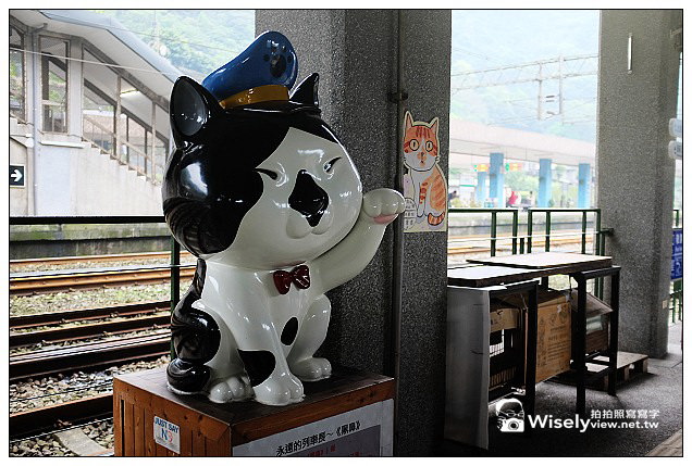 【景點】新北市。瑞芳區：(猴硐)候硐貓咪村～貓橋巡禮&街貓隨拍、大麵發老麵店、貓村咖啡，以及米詩堤黃金泡芙＠FUJIFILM X100s隨拍…(貓公車與漫遊路線分享)