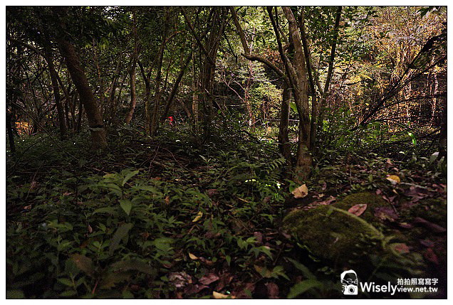 【食記】新北市。新店區：珍鱻嗆猛活海鮮＠百元平價熱炒店，創意食材口味料理