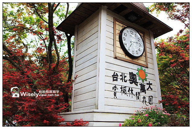 【隨拍】台北市。陽明山：2013台北奧萬大楓紅&想啟小饅頭~晚楓記錄作品分享