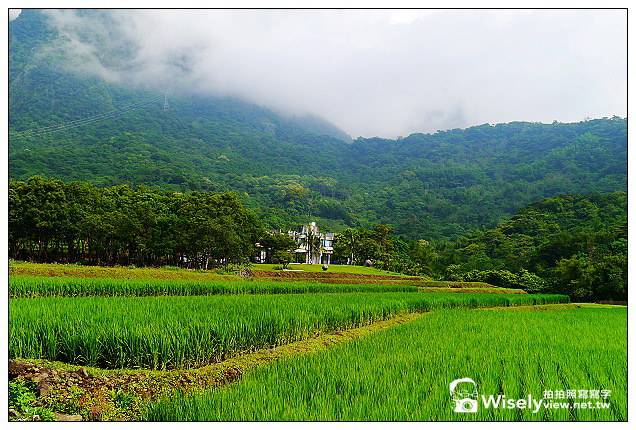 【住宿】台東縣。長濱鄉：余水知歡-民宿旅館＠遠離城市的喧囂，投身田園鄉間的懷抱