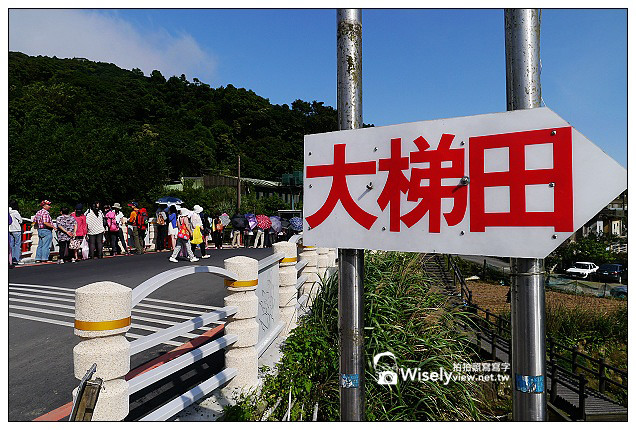 【遊記】台北市。北投區：竹子湖大梯田花卉生態農園(繡球花)＠景點交通資訊及Lumix GX1隨拍