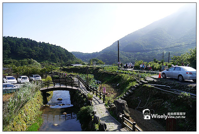 【遊記】台北市。北投區：竹子湖大梯田花卉生態農園(繡球花)＠景點交通資訊及Lumix GX1隨拍