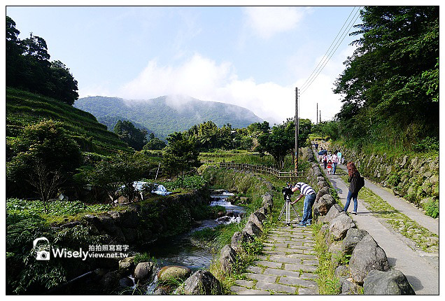 【遊記】台北市。北投區：竹子湖大梯田花卉生態農園(繡球花)＠景點交通資訊及Lumix GX1隨拍