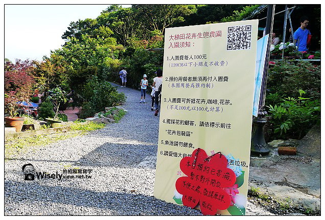 【遊記】台北市。北投區：竹子湖大梯田花卉生態農園(繡球花)＠景點交通資訊及Lumix GX1隨拍