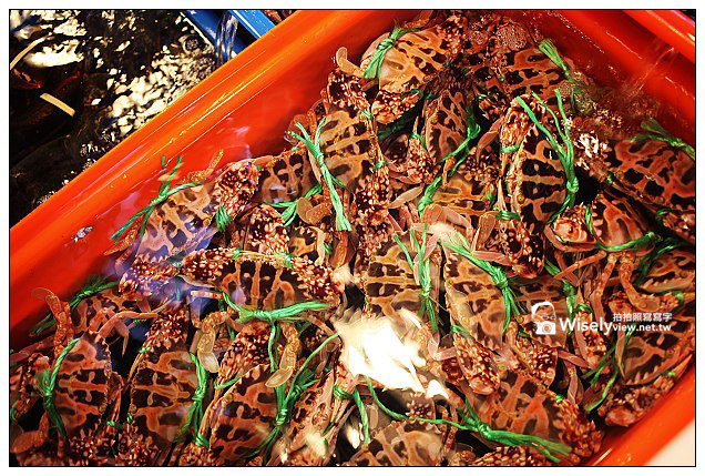 【遊記】2013漁樂台灣，金山蹦火仔-04：石門富基漁港＠墨西哥帽新設計建築物，平價海鮮熱炒超美味！(特色美食～慧琪海鮮量販店、兄弟代客料理、蝦冰蟹醬)