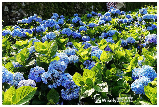 【食記】台北市。士林區：陽明山美食＠文化大學感恩麵店&阿國炒羊肉~必訪美食小吃