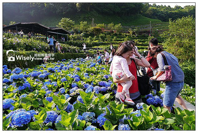【食記】台北市。士林區：陽明山美食＠文化大學感恩麵店&阿國炒羊肉~必訪美食小吃