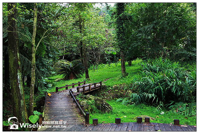 【遊記】南投縣。鹿谷鄉：內湖國民小學＠可望雲海美景的森林小學，符合環保的綠色建築景觀