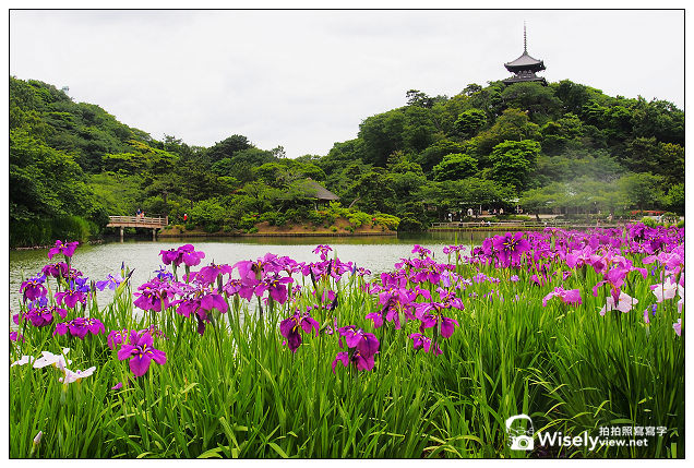 【旅行】2013日本。東京灣之旅:(神奈川)橫濱三溪園@體驗日式庭園之美,日式茶道品味 【旅行】2013日本。東京灣之旅:(神奈川)橫濱三溪園@體驗日式庭園之美,日式茶道品味