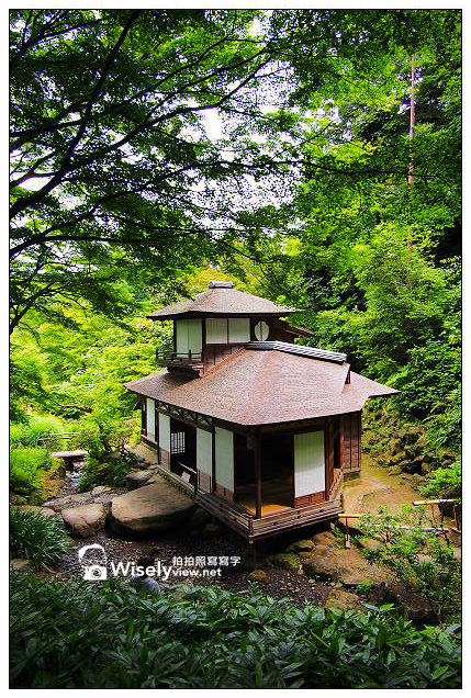 【旅行】2013日本。東京灣之旅:(神奈川)橫濱三溪園@體驗日式庭園之美,日式茶道品味 【旅行】2013日本。東京灣之旅:(神奈川)橫濱三溪園@體驗日式庭園之美,日式茶道品味