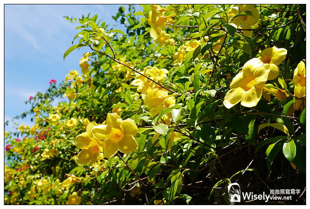 【遊記】高雄市。鹽埕區：2013駁二藝術特區＠擁有特殊彩繪與裝置藝術的必玩景點