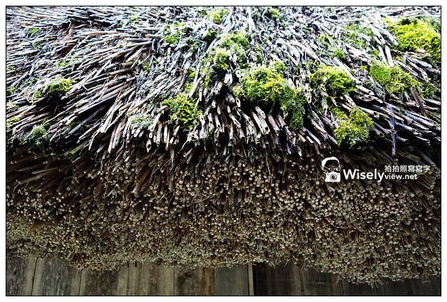 【旅行】2013日本。岐阜縣＠夏季白川鄉合掌村&2014點燈日程～SONY RX100 II