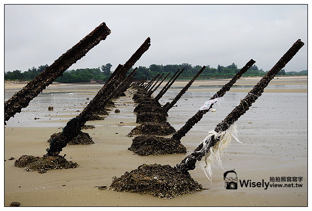 【遊記】2013離島。金門縣：喜相逢刀削麵、慈湖海岸、得月樓、莒光樓、高梁屋、記德海鮮～必訪景點美食