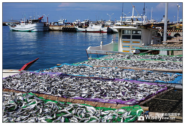 【遊記】2013離島。澎湖：七美島嶼@港口曬小管&丁香魚、小台灣、雙心石滬(近拍)，龍埕自助餐(小卷涼麵)