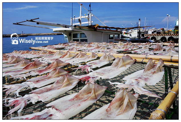 【遊記】2013離島。澎湖：七美島嶼@港口曬小管&丁香魚、小台灣、雙心石滬(近拍)，龍埕自助餐(小卷涼麵)