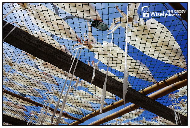 【遊記】2013離島。澎湖：七美島嶼@港口曬小管&丁香魚、小台灣、雙心石滬(近拍)，龍埕自助餐(小卷涼麵)