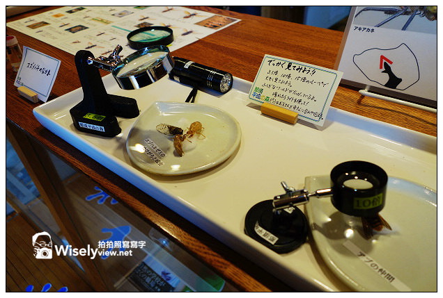 【旅行】2013日本。栃木縣：那須平成之森＠親近大自然，曾為皇室專屬的日光國立公園