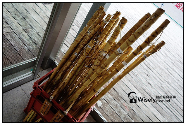 【旅行】2013日本。栃木縣：那須平成之森＠親近大自然，曾為皇室專屬的日光國立公園